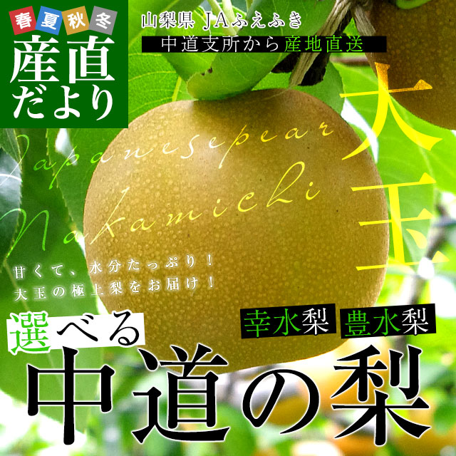 山梨県より産地直送 JAふえふき中道支所 選べる中道の梨（幸水梨／豊水