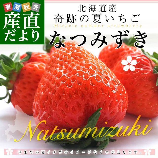 北海道より産地直送 高級いちご なつみずき 約300g（12粒）化粧箱入り