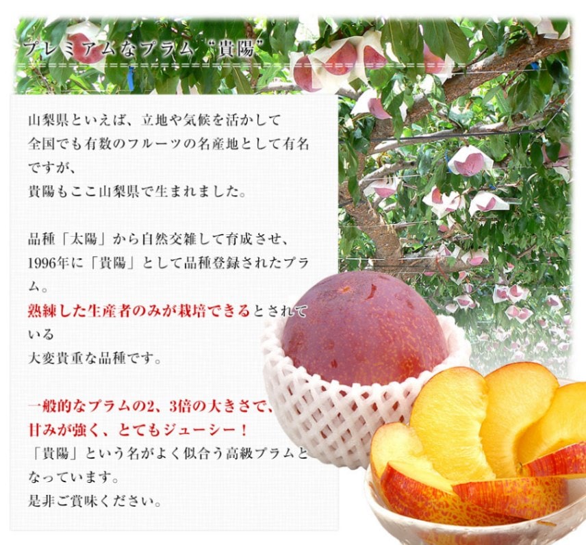 山梨県より産地直送 JAふえふき 中道支所 貴陽 赤秀以上 約1.7キロ(6玉