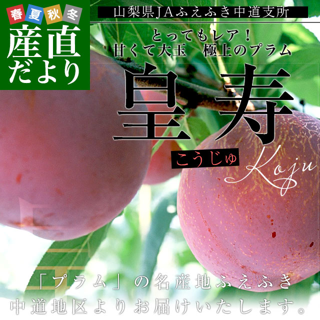 くうさん　山梨一宮産お手頃サイズ 2025年発送】山梨一宮産 桃 約2kg(5～8玉)産直朝採り | 山梨県