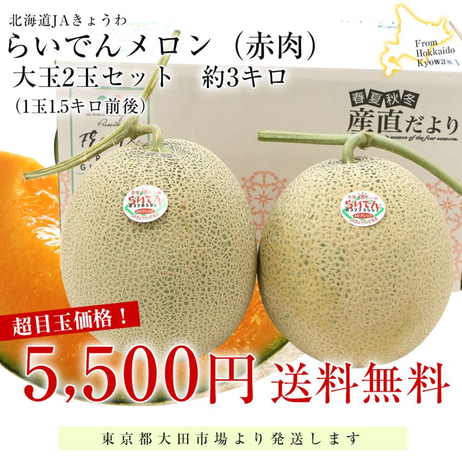 北海道産 JAきょうわ らいでんメロン（赤肉）大玉2玉セット 約3キロ（1
