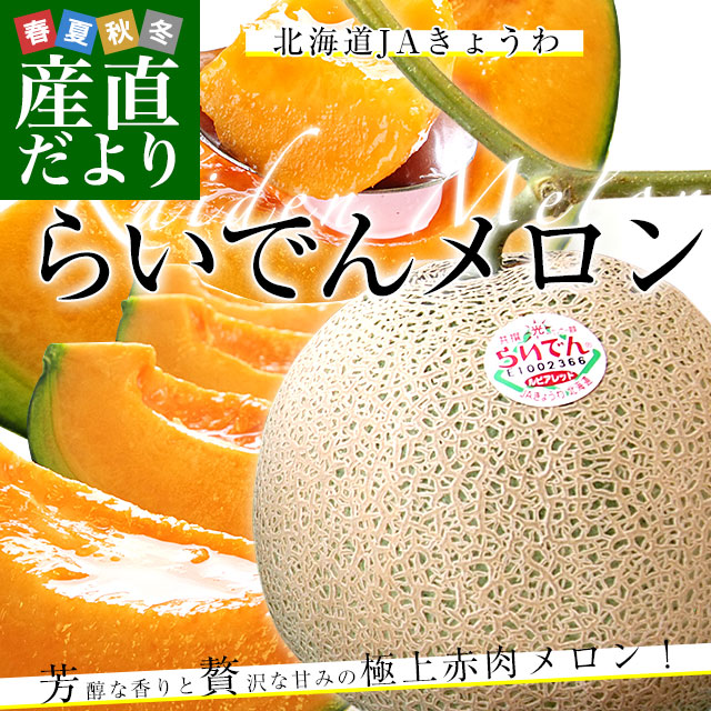 北海道JAきょうわ らいでんメロン（赤肉）大玉2玉セット 約3キロ