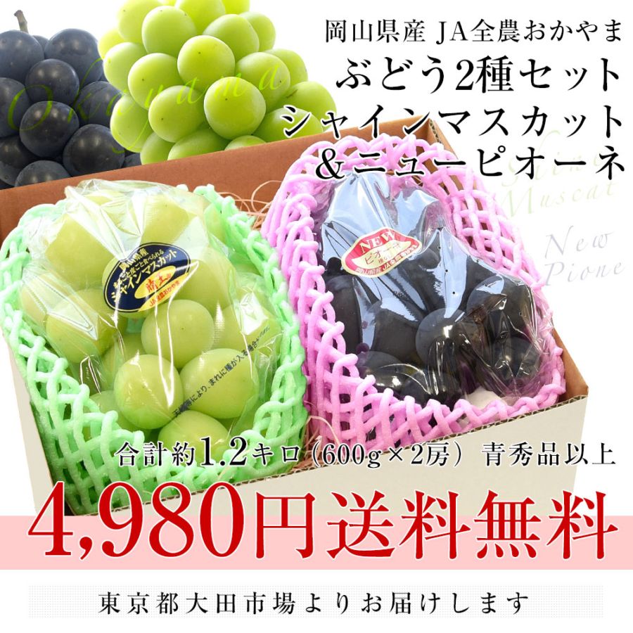 岡山県産 シャインマスカット＆ニューピオーネセット 青秀品以上 大房