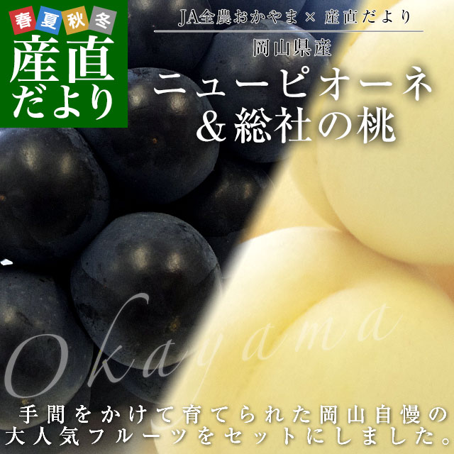 岡山県産　ニューピオーネ6房　1房約600g前後 岡山県産 ニューピオーネ(約600g×1房)＆総社の桃(約300g×2玉)＋