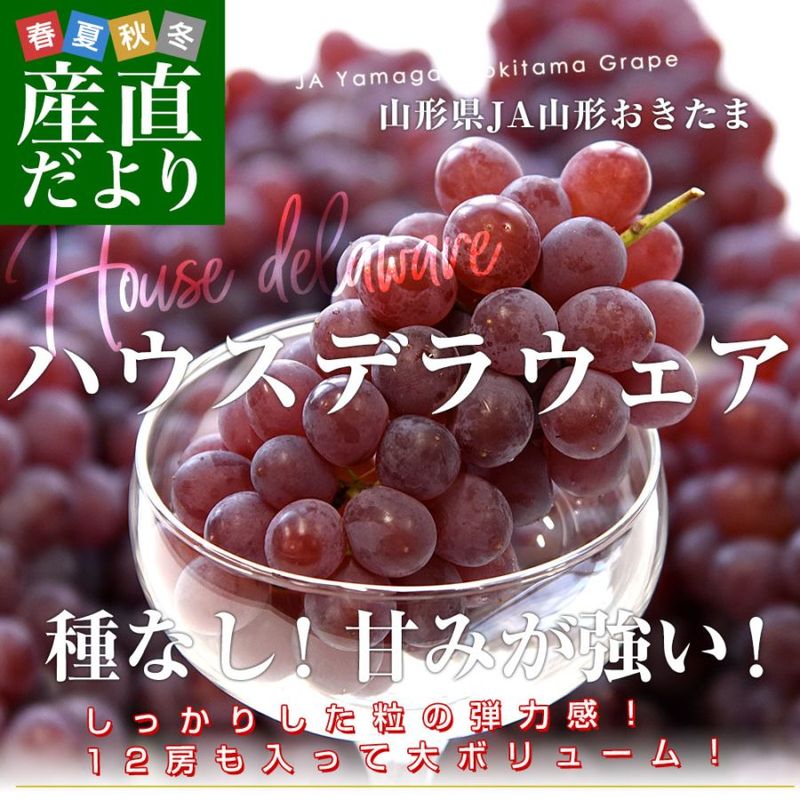 ������ JA������������ �ϥ������� �ǥ饦�����ʼ�ʤ��� ���� 2L������ ��2������12˼����� ����̵�� �֤ɤ� ��ƺ �֥ɥ� ��������