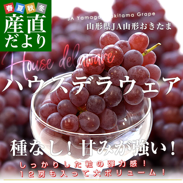 ������ JA������������ �ϥ������� �ǥ饦�����ʼ�ʤ��� ���� 2L������ ��2������12˼����� ����̵�� �֤ɤ� ��ƺ �֥ɥ� ��������