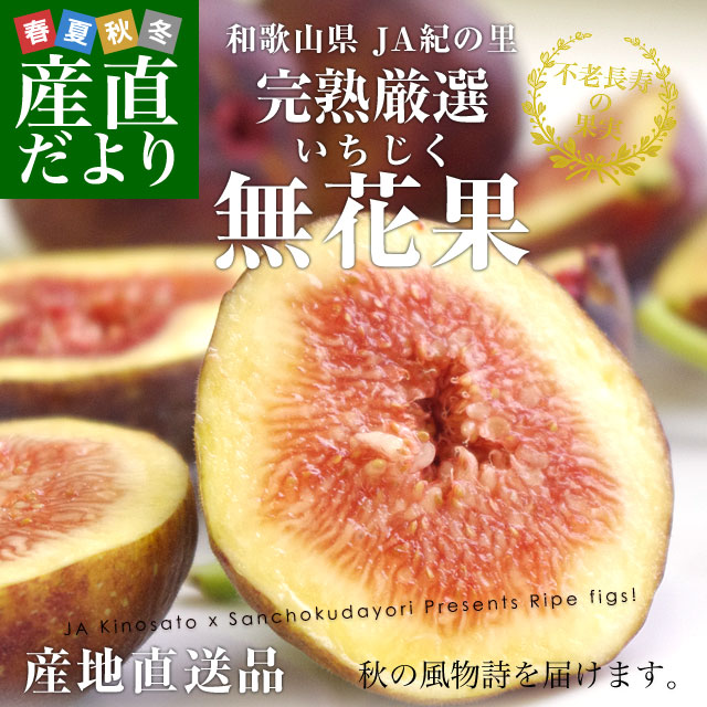 �²λ�����껺��ľ�� JA����Τ ���Ϥ������� L����S������ 300g(4�̤���6��)��4�ѥå� ���1.2���� ����̵�� ̵�ֲ� �������� ����������