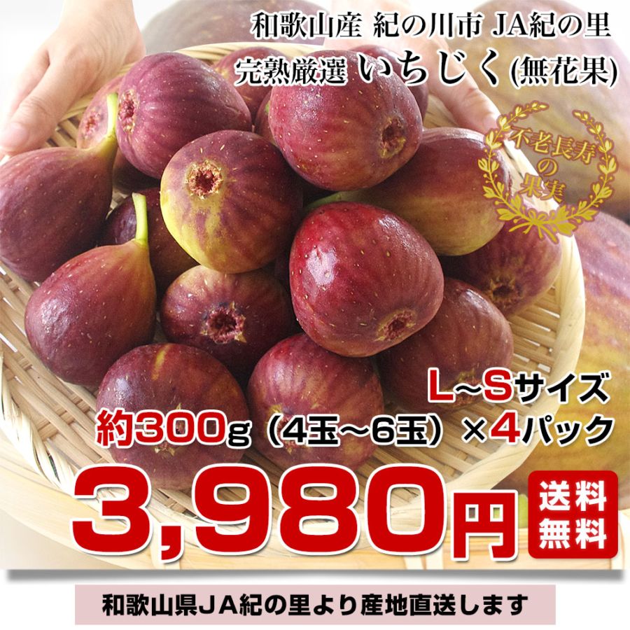 和歌山県より産地直送 JA紀の里 完熟いちじく LからSサイズ 300g(4玉