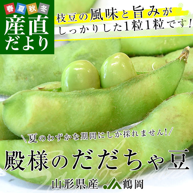 ���������黺��ľ�� JA�Წ ���ͤΤ�������Ʀ ��1.5���� ����̵�� ��Ʀ ���Ĥޤ� ��������