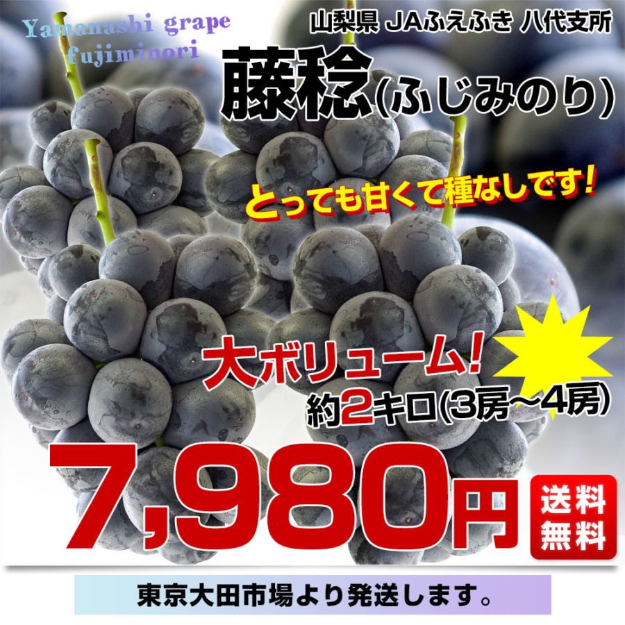 山梨県産 JAふえふき 八代支所 藤稔（ふじみのり）約2キロ（3房から4房
