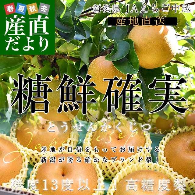㸩껺ľ JA μ (Ȥ󤫤) 13ٰʾ ͥʰʾ 󣵥 (9̤14) ʤ ʥ ̵