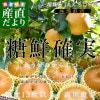 㸩껺ľ JA μ (Ȥ󤫤) 13ٰʾ ͥʰʾ 󣵥 (9̤14) ʤ ʥ ̵
