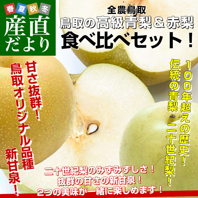 鳥取県産 JA全農鳥取 梨食べ比べセット 約1.8キロ 6玉入り(新甘泉、二