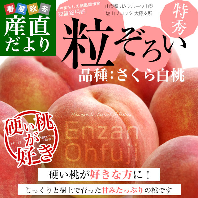 山梨県 JAフルーツ山梨 大藤支所 大藤の特秀桃「粒ぞろい」 約1.8キロ