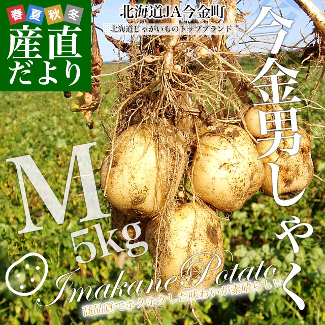 LかMサイズ　じゃがいも　5kg 67 LかMサイズじゃがいも5kg 67