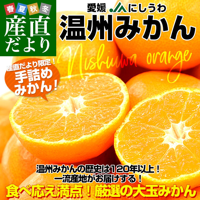 ɲ껺ľ JAˤ ²ߤ 2L 535ˡ̵ ߤ ߥ ̪