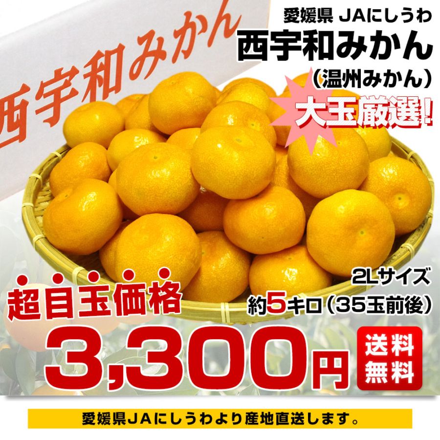 愛媛県より産地直送 JAにしうわ 西宇和温州みかん 2Lサイズ 約5キロ