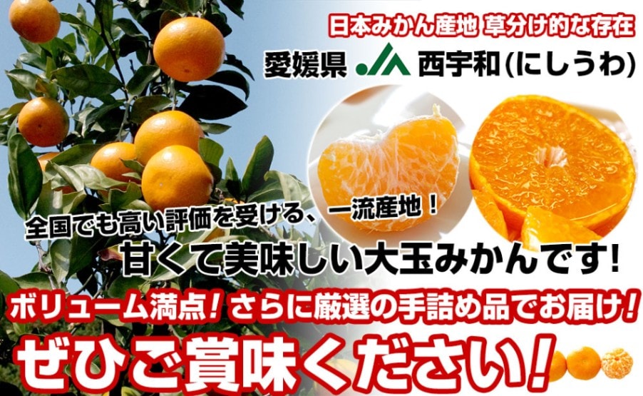 先行予約】秀品 有田みかん 2kg 2S～Lサイズのいずれか ※2025年