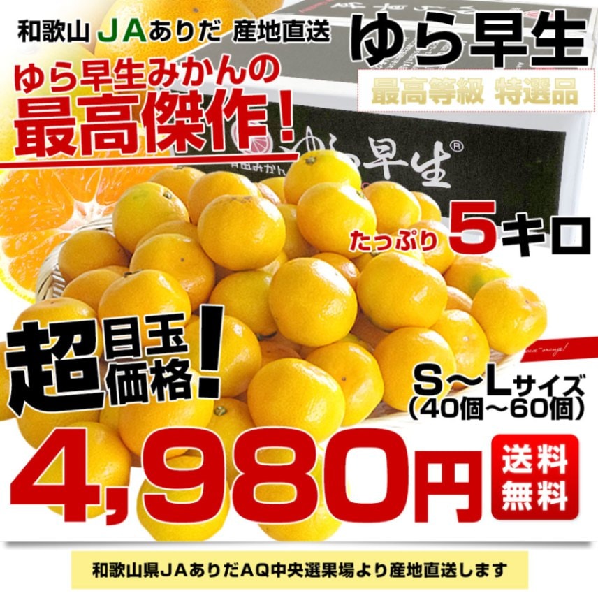 和歌山県より産地直送 JAわかやま ありだ地域本部 ゆら早生みかん 5