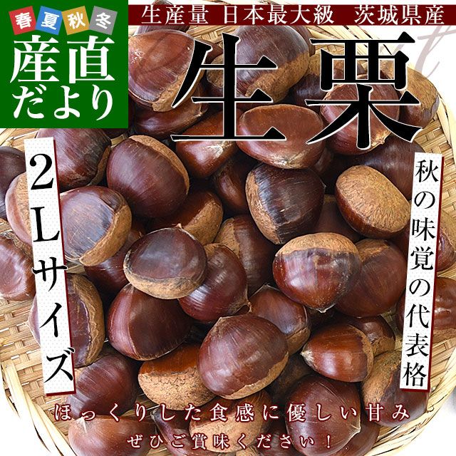 hanaka様　利平3L 2キロ　茨城県産栗　生栗　利平 hanaka様 利平3L 2キロ 茨城県産栗 生栗 利平 茨城県産