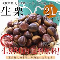 茨城県産 生栗 約2キロ 2Lサイズ 送料無料 大粒栗 和栗 くり マロン