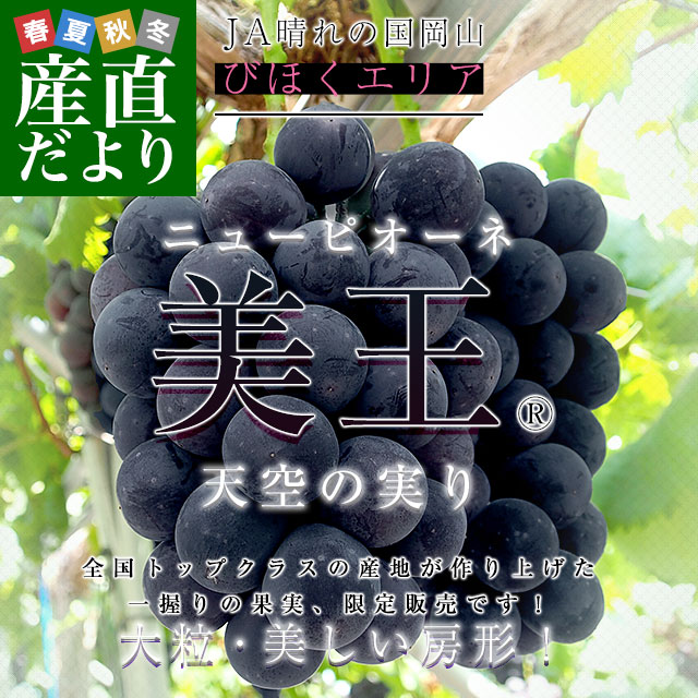 岡山県産 JA晴れの国岡山 びほくエリア ニューピオーネ 天空の実り「美