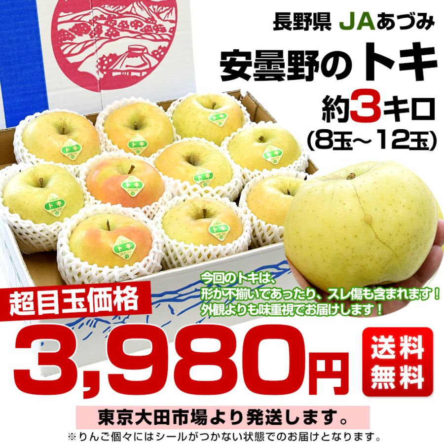 長野県産 JAあづみ 安曇野 ご家庭向け トキ 約3キロ （8玉から12玉