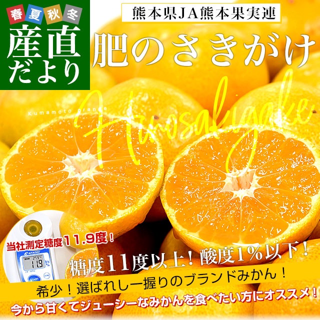 d_orange555_00.jpg