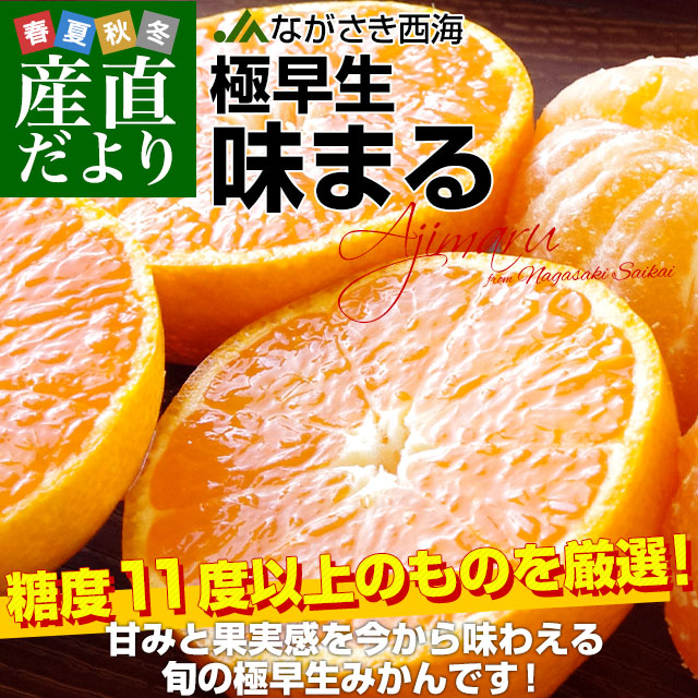 長崎県 JAながさき西海 味まる LからSサイズ 青秀以上 約5キロ(40玉