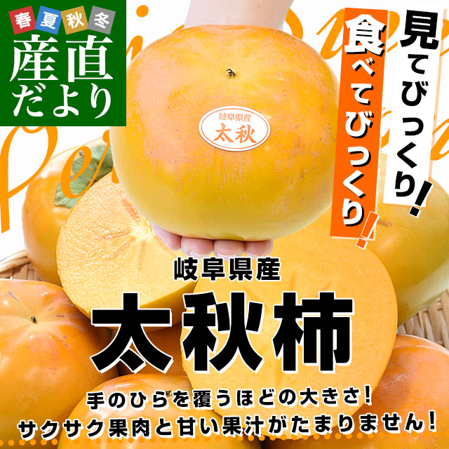 ���츩 JA������ ������(�������夦����) A��3.5��������(8�̤���10������) ����̵�� ��̳� �� ���� �Ծ�ȯ��