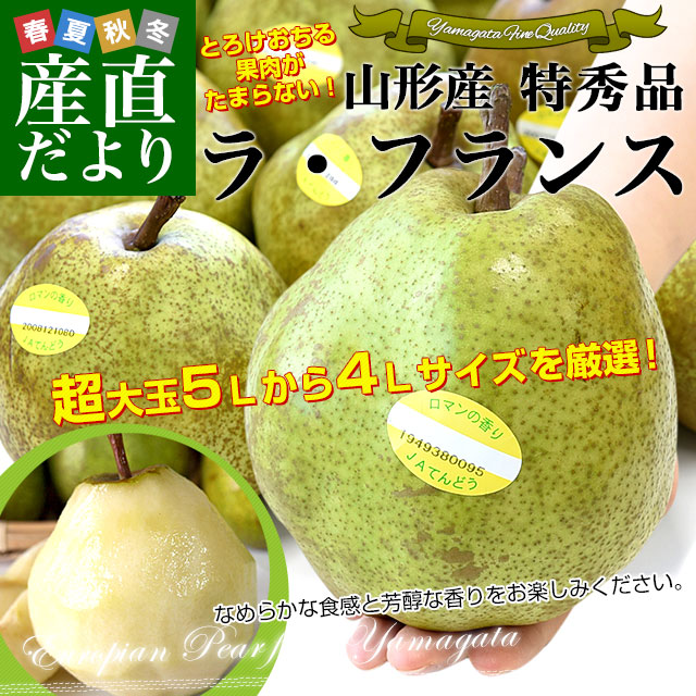 껺ľ 顦ե󥹥󥿡 顦ե ý 5(12̤14) 4L5L ̵  Τʤ 