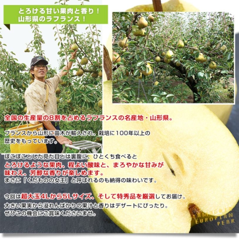 山形より産地直送 ラ・フランスセンター共撰品 ラ・フランス 特秀品 約