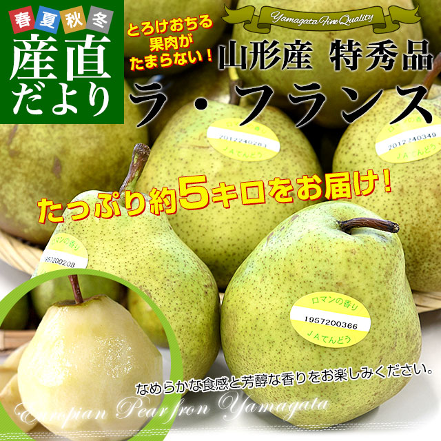 山形より産地直送 ラ・フランスセンター共撰品 ラ・フランス 特秀品 約