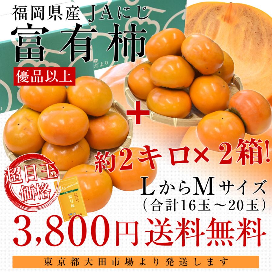 福岡県 JAにじ 富有柿 優品以上 LからMサイズ 約2キロ×2箱（合計16玉