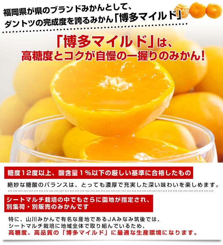 Mサイズ おすすめ!! 「博多マイルドみかん」 4キロ 福岡県産 Amazon.co.jp: 福岡産 山川みかん 博多マイルドみかん 赤秀 Mサイズ 約