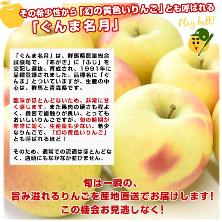 青森県より産地直送 JAつがる弘前 メジャー ぐんま名月 約3キロ（8玉