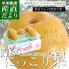 ���ڸ���껺��ľ�� JA���ĤΤߤ� ���ڸ����ꥸ�ʥ��ʼ� ��¢ �ˤä����� 5���� (5�̤���7��)����̵�� �����̼��ࡦ��������¾ �ʤ� �ʥ�