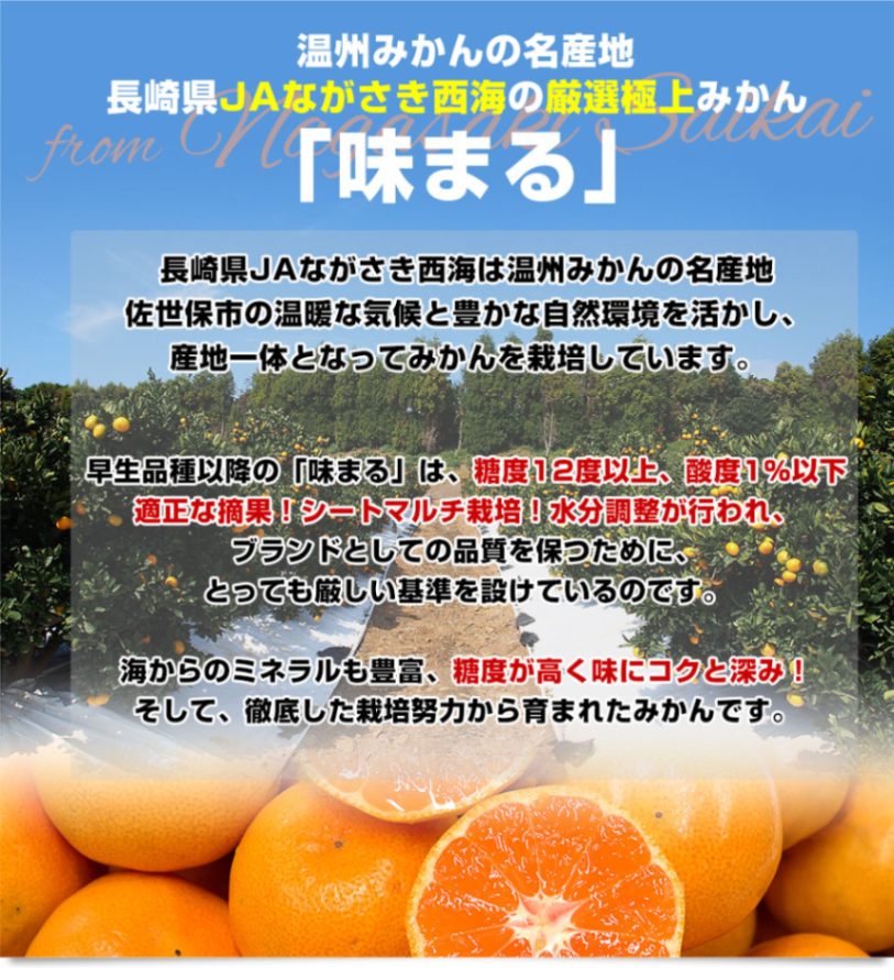 年内発送間に合います】長崎県 JAながさき西海 味まる 約2キロ×2箱 L