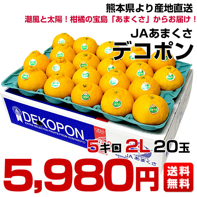 【でこぽん】 Decora43 8PS-sima468b ※展示機 カホン 両打面仕様 島村楽器限定モデル