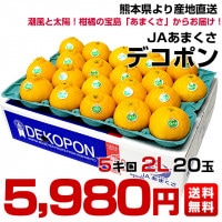 熊本県から産地直送 JAあまくさ デコポン 2L 5キロ (20玉) 送料無料