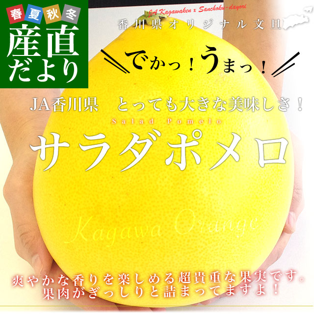 �����껺��ľ�� JA��� ���ꥸ�ʥ�ʸö ������ݥ�� 1�� ��1.4���� ����Ȣ���� �ݤ�� ʸö ���� ���̤�������̵��