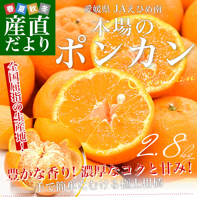愛媛県産 JAえひめ南 ポンカン 赤秀品 Lサイズ 約2.8キロ (20玉から22
