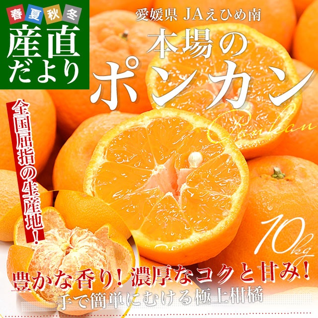 ��ɲ���� JA���Ҥ��� �ݥ󥫥� �ֽ��� L������ ��10���� (70�̤���80������) ����̵�� ���� ����� �ݤ󤫤� �Ծ�ȯ��