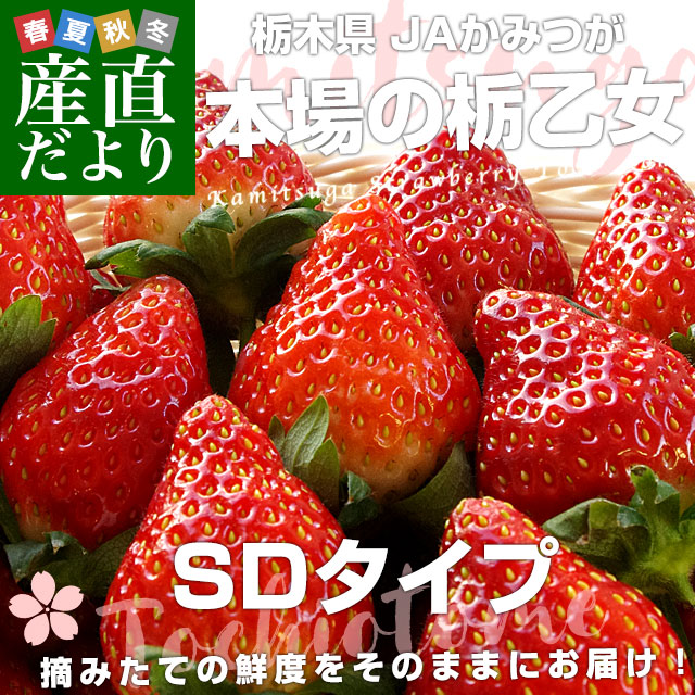 イチゴ‼️おまとめです‼️ 第2弾！おかげさまで目標300%達成！大きすぎて規格外大玉