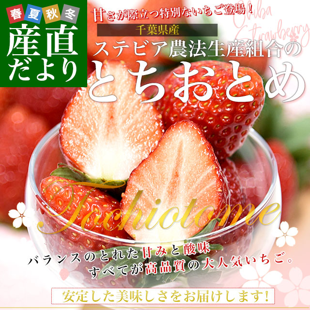 千葉県産 ステビア農法生産組合のとちおとめ A品から3L(A品・2A・L・2L
