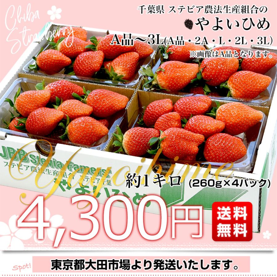 千葉県産 ステビア農法生産組合のやよいひめ A品から3L(A品・2A