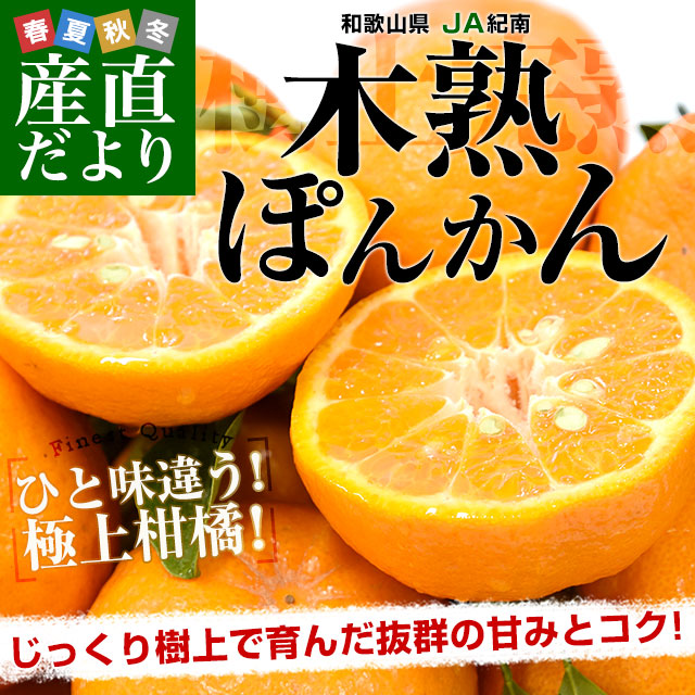 楽天市場】木熟葉付きポンカン (約5kg) 和歌山産 ぽんかん