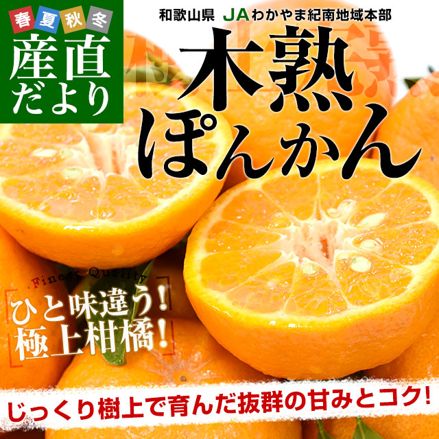 和歌山県産 JAわかやま紀南地域本部 木熟ポンカン 3LからL 秀品 約4.5