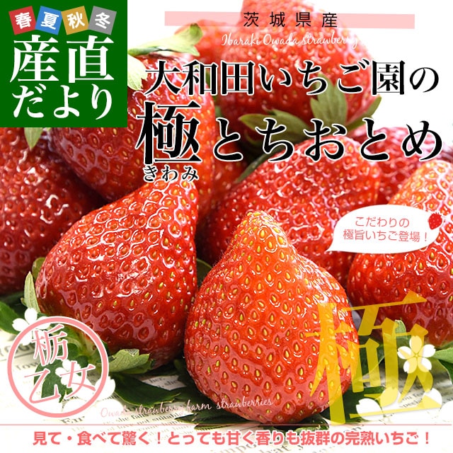 ��븩�� �����Ĥ�������ζˡʤ���ߡˤȤ����Ȥ� 1Ȣ 300g�ʾ��15γ����18γ������̵�� ������ ������ �� �ʲ���