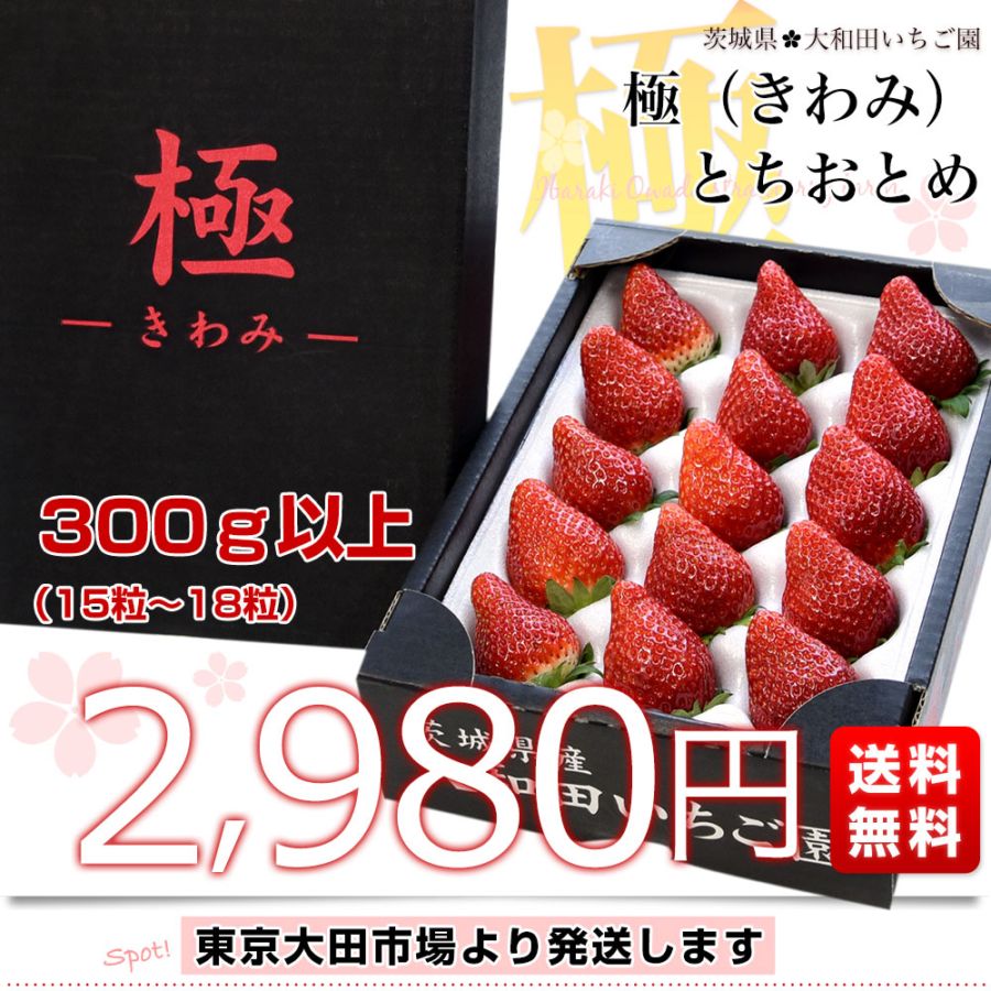 茨城県産 大和田いちご園の極（きわみ）とちおとめ 1箱 300g以上（15粒